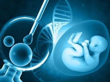 IVF Lab Setup